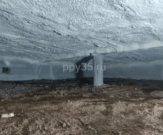 Без названия (19)