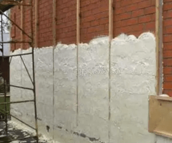 Без названия (21)