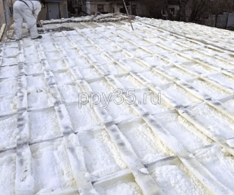 Без названия (4)